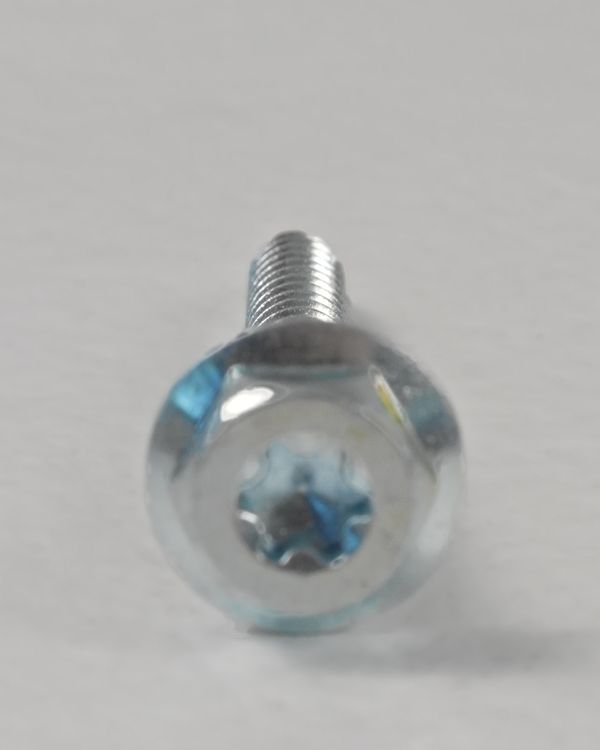 Schraubenkopf von vorn: Sechskant mit Torx-Antrieb.